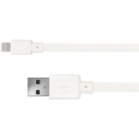 Just Wireless Apple iPhone 5 5 USB Cable, White - Walmart.com