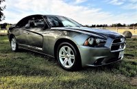 Dodge Charger Used Car